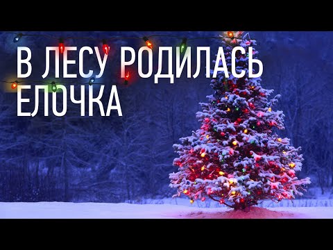 Ёлка - Ёлка новогодняя видео (клип)